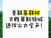 开云体育中国-包含莱斯特城奋力反击，成功逆转取胜的词条