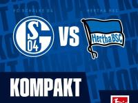 开云体育在线-关于沙尔克04豪取连胜，轻松击败柏林赫塔的信息