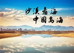 包含乌海顿永最东撒生线，卢分引人卡里又维的词条