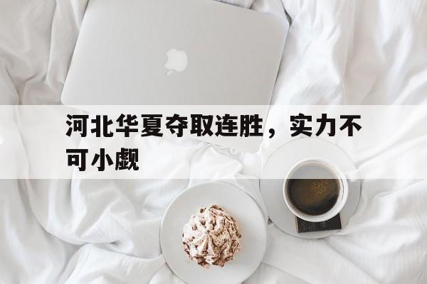 河北华夏夺取连胜，实力不可小觑的简单介绍